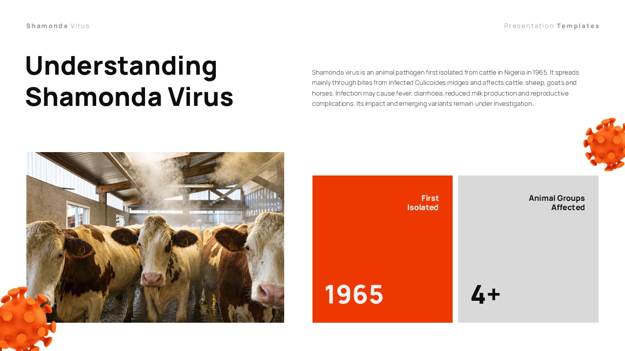 Shamonda Virus Template - understanding overview with key stats