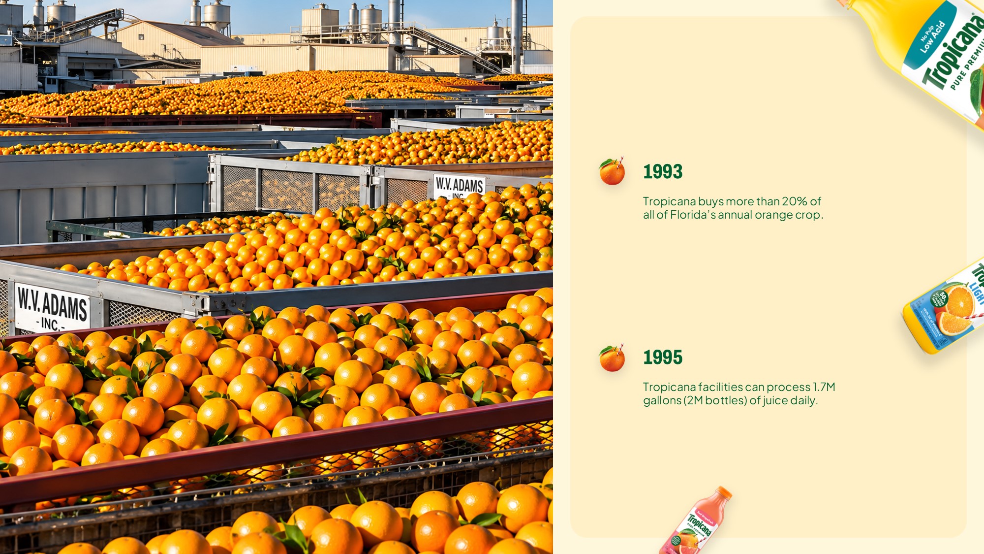 Tropicana Premium Drinks Template - Tropical lemonade bottle in jungle waterfall with 2010s milestones