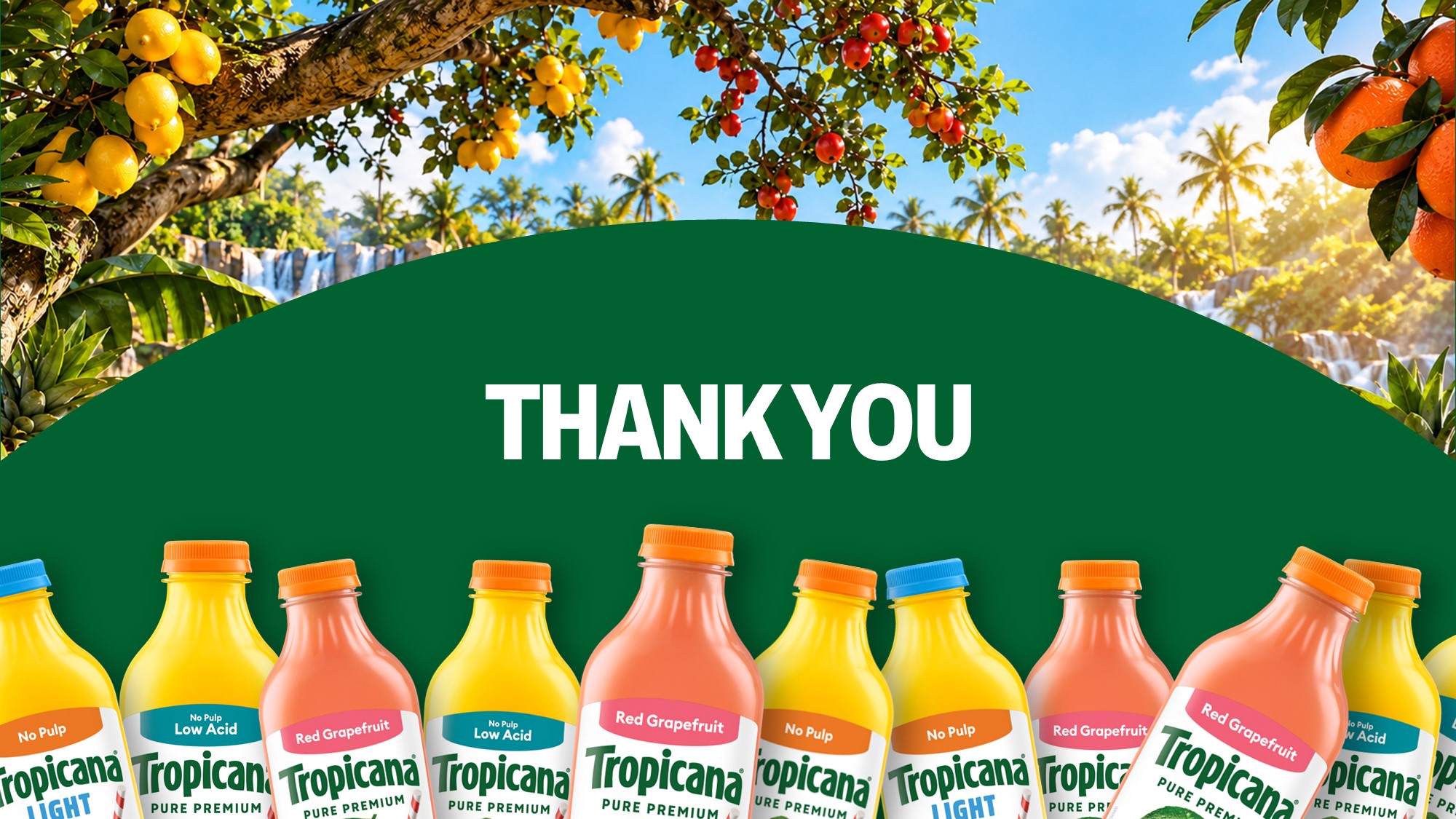Tropicana Presentation Preview - Full deck collage around iconic green logo card on dark background
