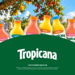 Tropicana Template - Tropical cover slide with product arc, green arch, and paradise backdrop